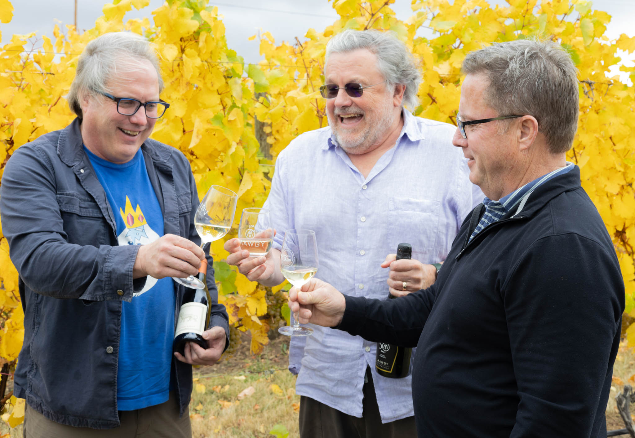 Traverse Wine Coast winemakers toast the region's 50th vintage